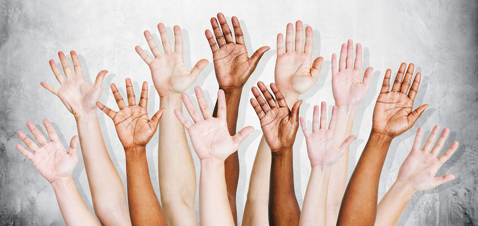 diversity-ethnic diversity-ethnic