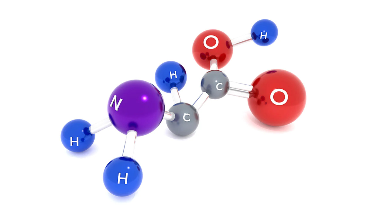 amino acids peptides in skin function